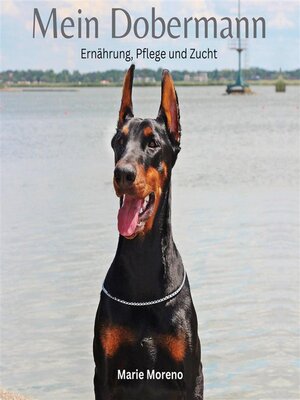 cover image of Mein Dobermann